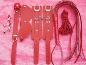 bondage gear kit.