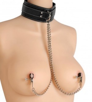 leather neck collar with nipple clamps