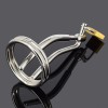 Male Penis Urethral Plugs Cage with Padlock Men Chasity Device Stainless Steel Urethral Sound