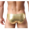 male sexy lingerie, male gold briefs, male sexy briefs