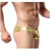 male sexy lingerie, male gold briefs, male sexy briefs