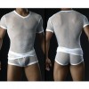 sheer male lingerie, fishnet male lingerie, male mesh lingerie