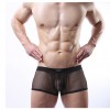 male sexy boxer, male sexy lingerie, male mesh boxer