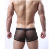 male sexy boxer, male sexy lingerie, male mesh boxer