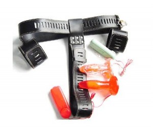 dual anal plug chastity belt for female.