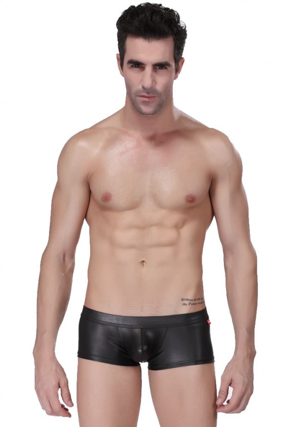 male sexy lingerie, male leather pants, male leather briefs