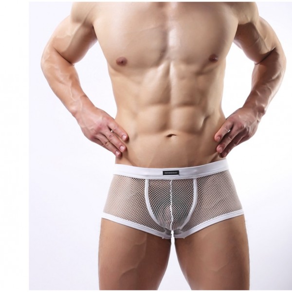 male sexy boxer, male sexy lingerie, male mesh boxer